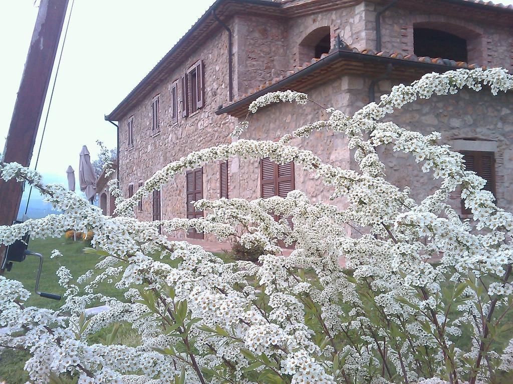 Agriturismo Il Poggiolo Montemerano Buitenkant foto