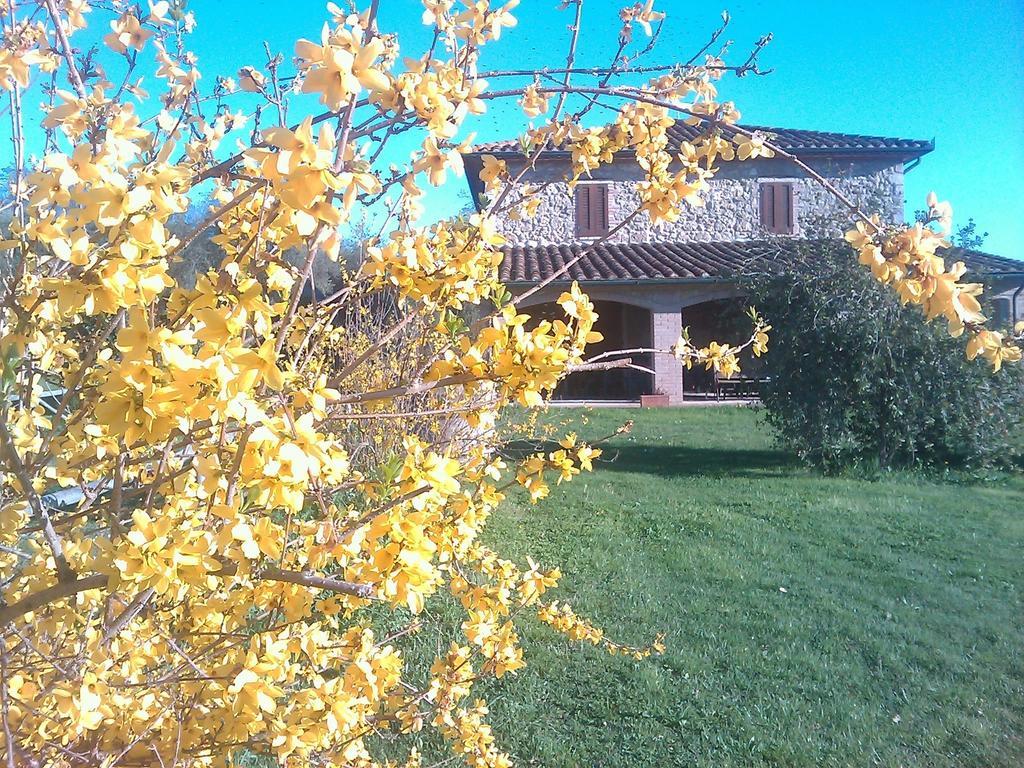 Agriturismo Il Poggiolo Montemerano Buitenkant foto
